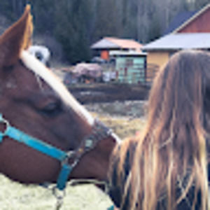 Meet your Posher, Cara